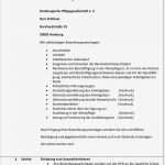 Bewerbung Pflegedienstleitung Vorlage Wunderbar Groß Altenpflege Lebenslauf Galerie Entry Level Resume