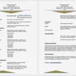 Bewerbung Praktikum Physiotherapie Vorlage Cool Fantastisch Lebenslauf Lebenslauf Anschreiben 01 Bilder