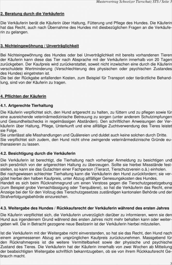 Bewerbung Qualitätsmanager Vorlage Best Of Niedlich Verkäufer Vertragsvorlage Ideen Ideen