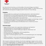 Bewerbung Rotes Kreuz Vorlage Fabelhaft Niedlich fortsetzen Beispiele Für Interne