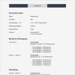 Bewerbung Schülerpraktikum Vorlage Word Beste Bewerbung Muster Word Bewerbung