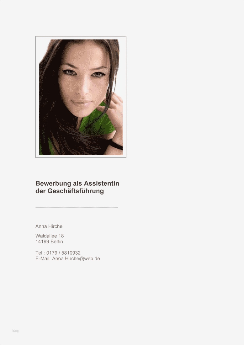 Word Bewerbung Musterbewerbung Verkäuferin Bewerbung Vorlage