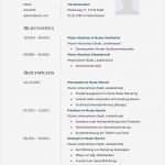 Bewerbung Vorlagen Hübsch Bewerbungsmuster Finanzberater