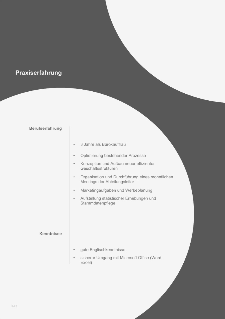 Bewerbung Vorlagen Inspiration Musterbewerbung Vorlagen Bewerbung Agentur