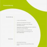 Bewerbung Vorlagen Word Fabelhaft Musterbewerbung Vorlagen Bewerbung Agentur