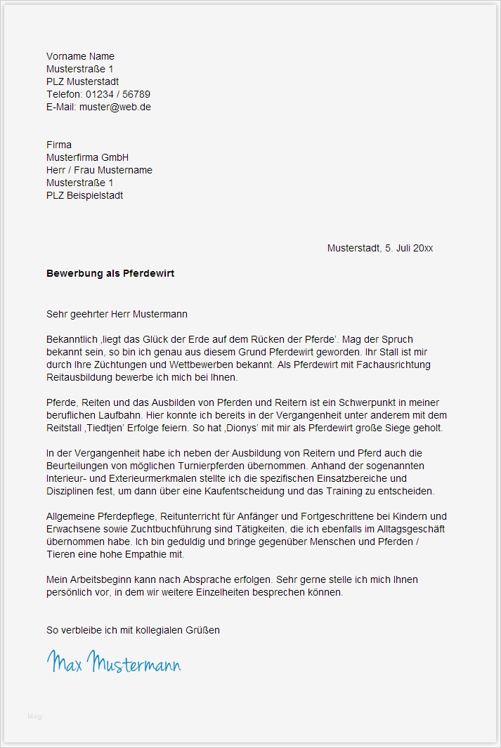 Bewerbungsanfrage Vorlage Schönste Bewerbungsschreiben