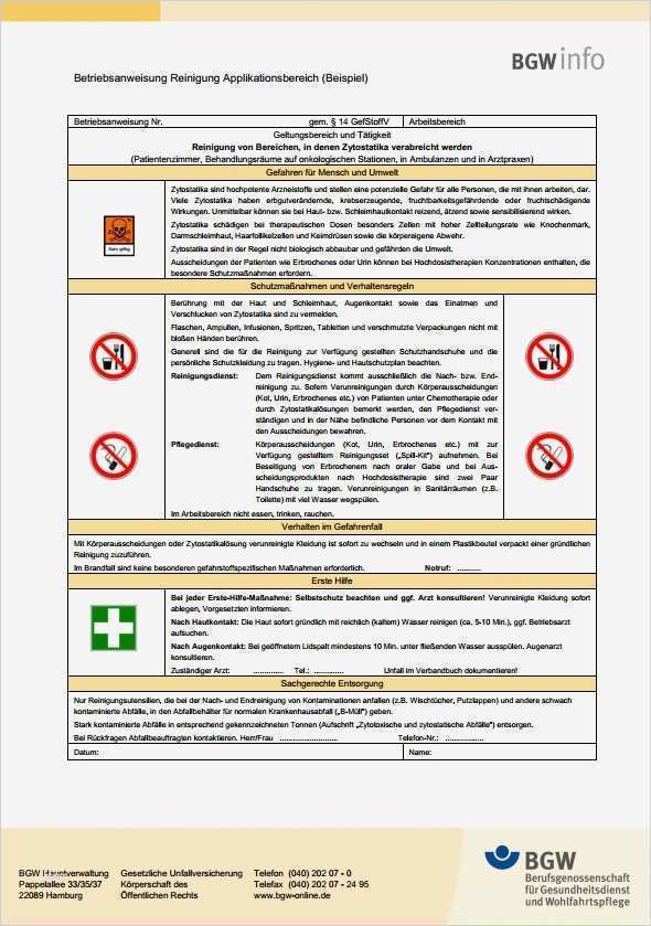 Bewerbungsanfrage Vorlage Wunderbar atemberaubend Wechsel Vorlage Galerie Entry Level Resume