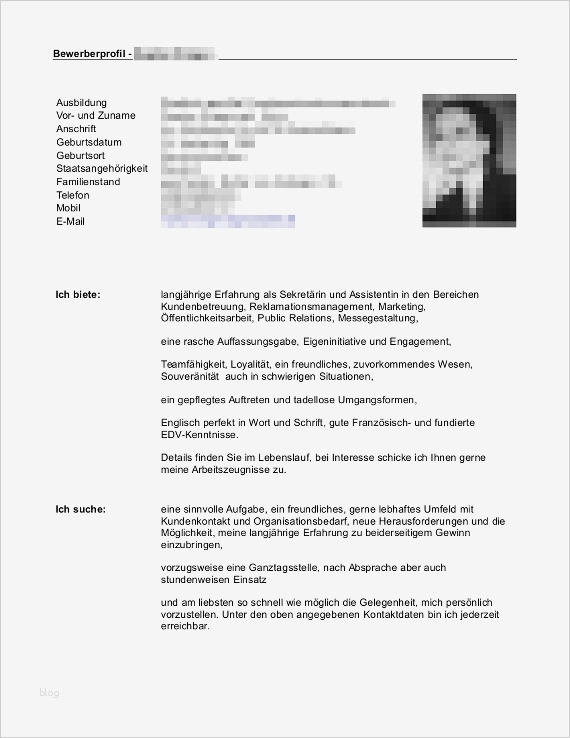 Bewerbungsflyer Vorlage Angenehm De Tag Freies Wort Lebenslauf Auf Englisch