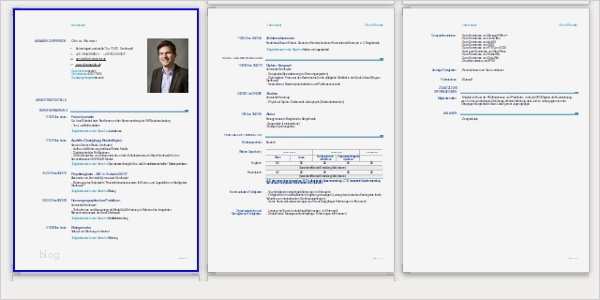 Bewerbungsflyer Vorlage Angenehm Leben Im System Hartz Iv Tag 3 – Bewerbungen