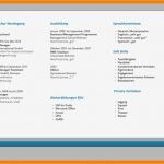 Bewerbungsflyer Vorlage Erstaunlich 8 Bewerbungsflyer