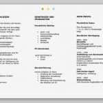 Bewerbungsflyer Vorlage Großartig Bewerbungs Flyer Für Einen Job Als Aushilfe Muster