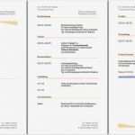 Bewerbungsflyer Vorlage Word Elegant Berühmt Anmeldeformular Word Vorlage Ideen fortsetzung