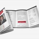 Bewerbungsflyer Vorlage Wunderbar Premium Bewerbungsflyer 2 Bewerbungsdesigns