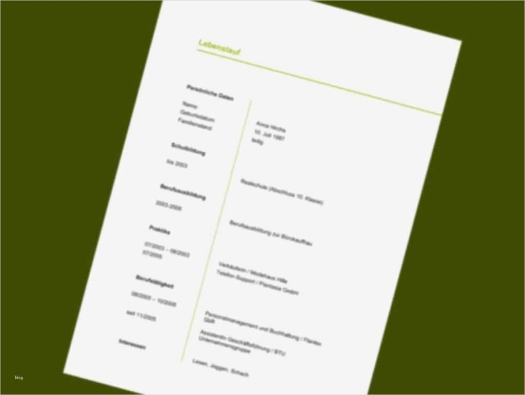 Bewerbungsmappe Vorlage Erstaunlich 21 Lebenslauf Vordruck Designvorlagen