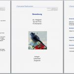 Bewerbungsschreiben Vorlage Word Erstaunlich Bewerbungsvorlagen Word 2010