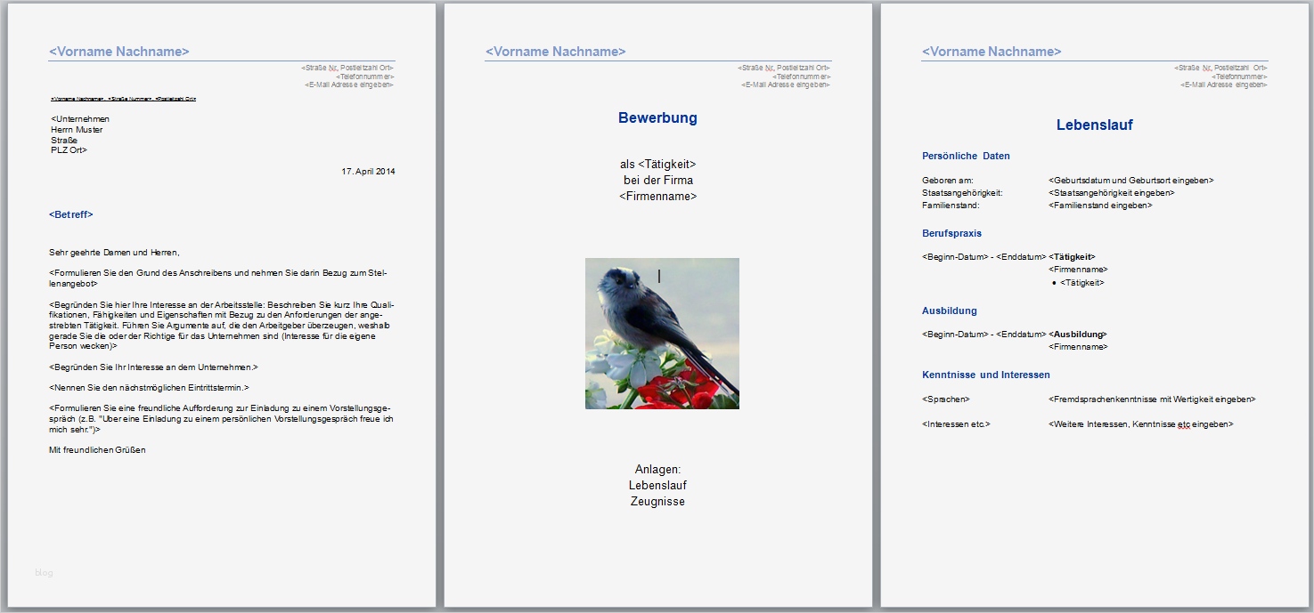 Bewerbungsschreiben Word Vorlage Cool Bewerbungsvorlagen Word 2010