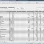Bilanz Excel Vorlage Erstaunlich Fein Bilanz Scorecard Vorlage Ideen Entry Level Resume