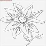 Bilder Malen Acryl Vorlagen Fabelhaft 100 Acrylmalerei Anfänger Motive Bilder Ideen