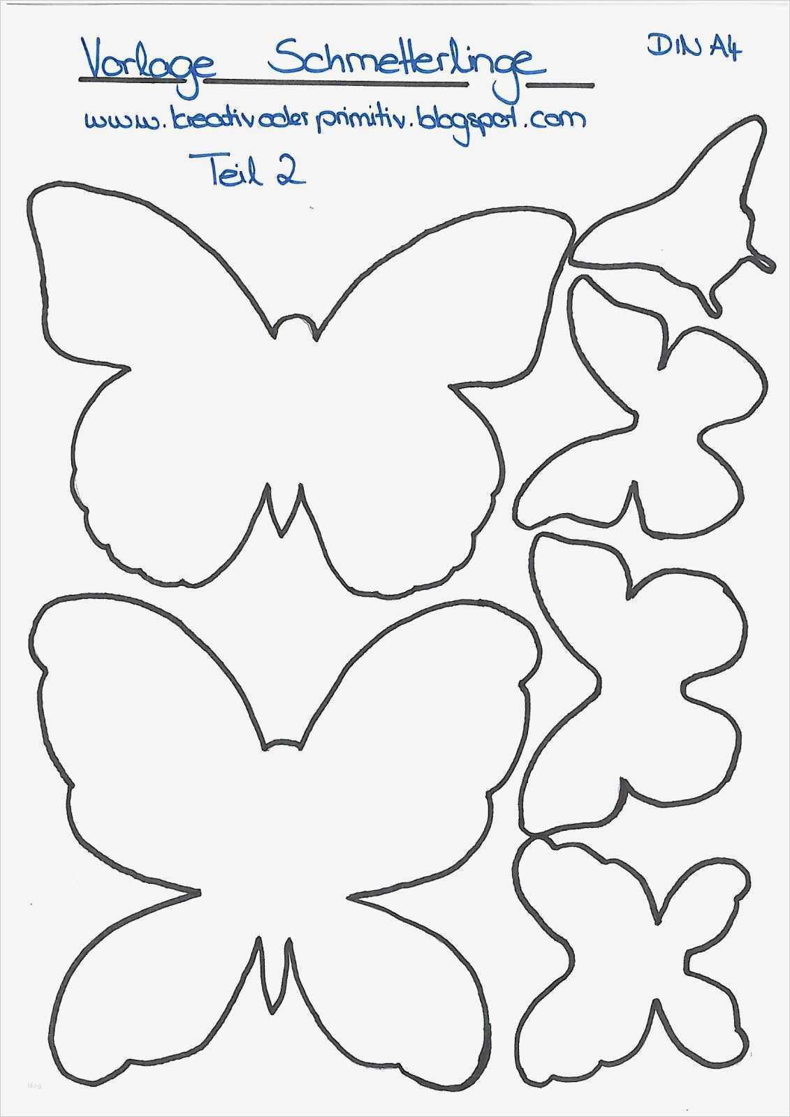 Bilderwand Vorlage Elegant Collage Schmetterling Diy Anleitung Bild Selber