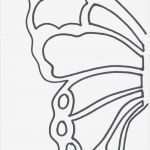 Bilderwand Vorlage Schön 25 Best Ideas About Bastelvorlage Schmetterling Auf