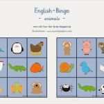 Bingo Vorlage Einzigartig Reif Für Ferien Englisch Bingo Zum thema Animals