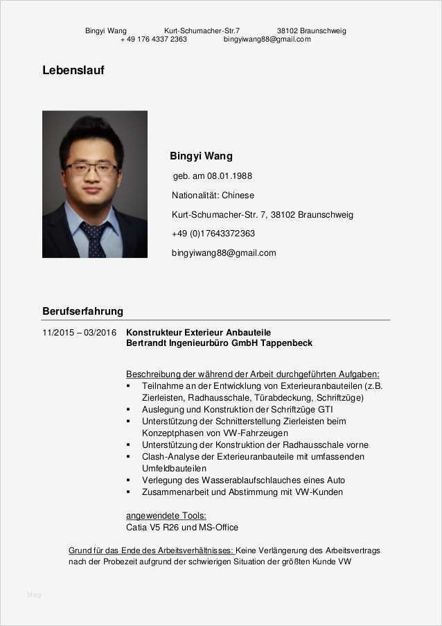Biografie Vorlage Beste Lebenslauf Wang Bingyi