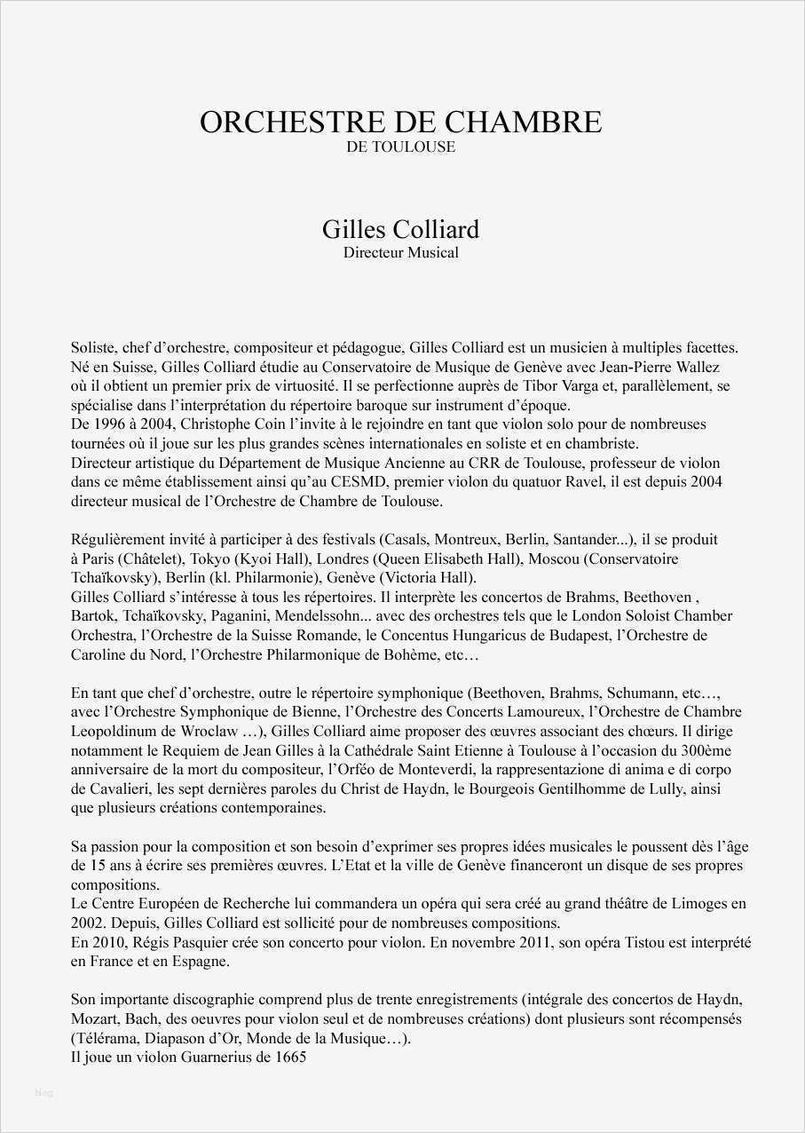 Biografie Vorlage Elegant Biografie Vorlage Lebenslauf Beispiel