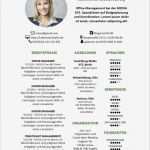 Biografie Vorlage Inspiration Schön Geschäftsführer Lebenslauf Beispiel Galerie Entry