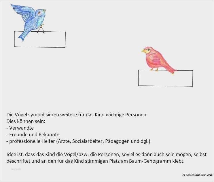 Biografiearbeit Mit Kindern Vorlagen Erstaunlich Erfreut Genogramm Vorlage sozialarbeit Galerie Entry