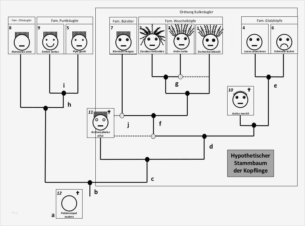 Biografiearbeit Mit Kindern Vorlagen Genial Kopflinge