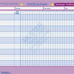 Biografiearbeit Vorlagen Erstaunlich Großartig Kostenlose Pflegeplan Vorlage Bilder Beispiel