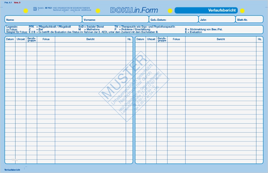 Biografiearbeit Vorlagen Gut Fantastisch Muster Pflegeplan Vorlage Bilder