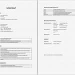 Biografiearbeit Vorlagen Wunderbar Berühmt Lebenslauf Für Kinder Bilder