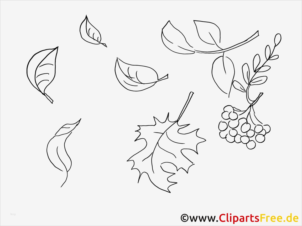 Blätter Vorlagen Zum Ausschneiden Best Of Ausgezeichnet Blatt Malvorlagen Zum Ausdrucken Bilder