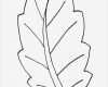 Blätter Vorlagen Zum Ausschneiden Beste Ausmalbilder Malvorlagen – Blätter Kostenlos Zum
