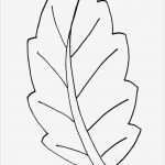 Blätter Vorlagen Zum Ausschneiden Beste Ausmalbilder Malvorlagen – Blätter Kostenlos Zum