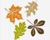 Blätter Vorlagen Zum Ausschneiden Cool Herbst Fensterbilder Basteln Süße Ideen Und Motive