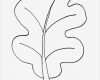 Blätter Vorlagen Zum Ausschneiden Einzigartig Ausmalbilder Malvorlagen – Blätter Kostenlos Zum