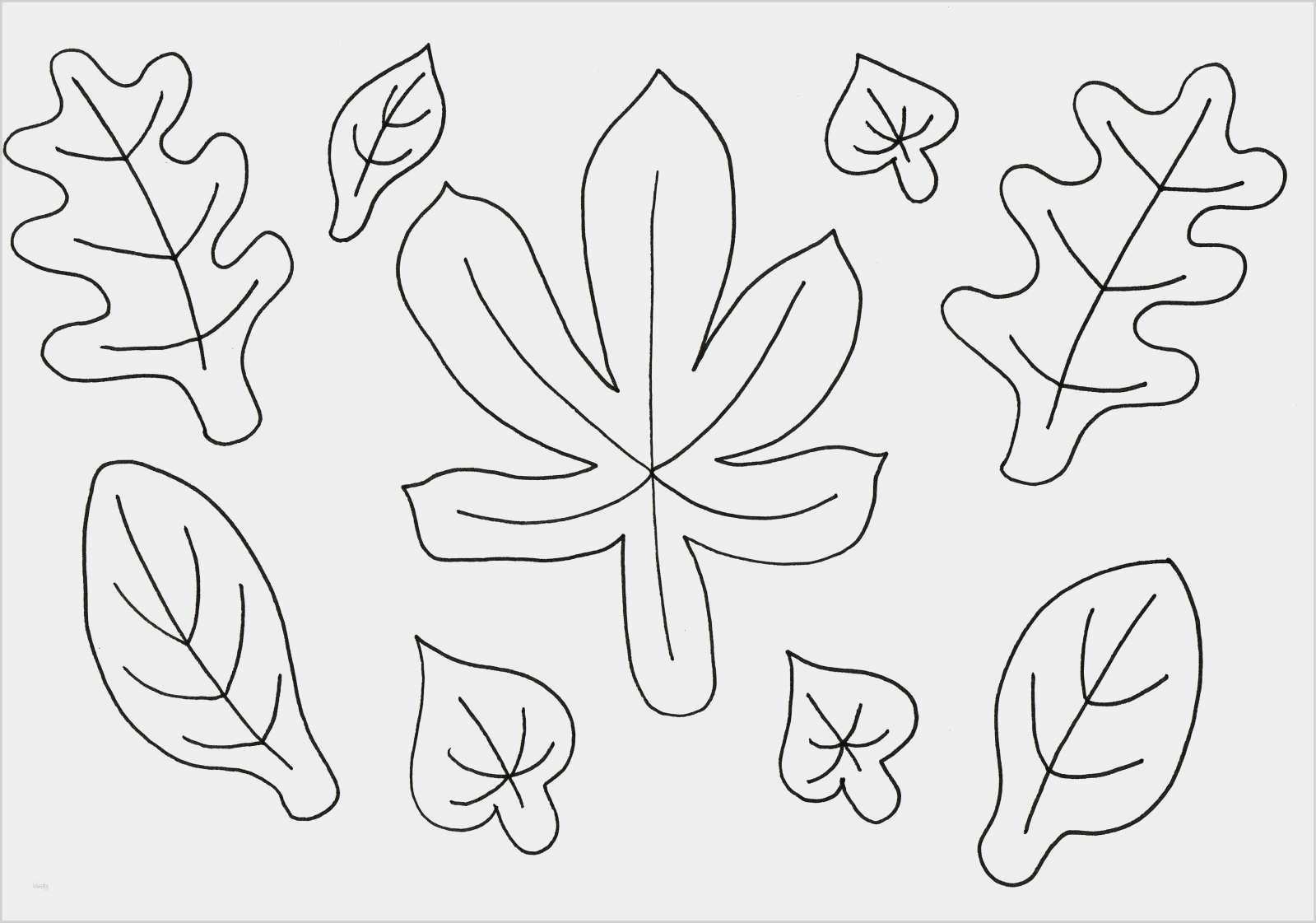 Blätter Vorlagen Zum Ausschneiden Einzigartig Beste Ausschneiden Von Vorlagen Zeitgenössisch Entry