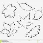 Blätter Vorlagen Zum Ausschneiden Fabelhaft Stilisierte Blätter Vektor Abbildung Bild