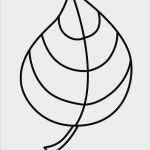 Blätter Vorlagen Zum Ausschneiden Genial Blätter Vorlagen Zum Ausschneiden Inspiration Le