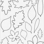 Blätter Vorlagen Zum Ausschneiden Luxus Erfreut Blatt Vorlage Galerie Entry Level Resume