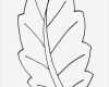 Blätter Vorlagen Zum Ausschneiden Schön Ausmalbilder Malvorlagen – Blätter Kostenlos Zum