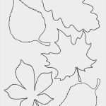 Blätter Vorlagen Zum Ausschneiden Schön Blätter Vorlagen Zum Ausschneiden Best Blatt Vorlage