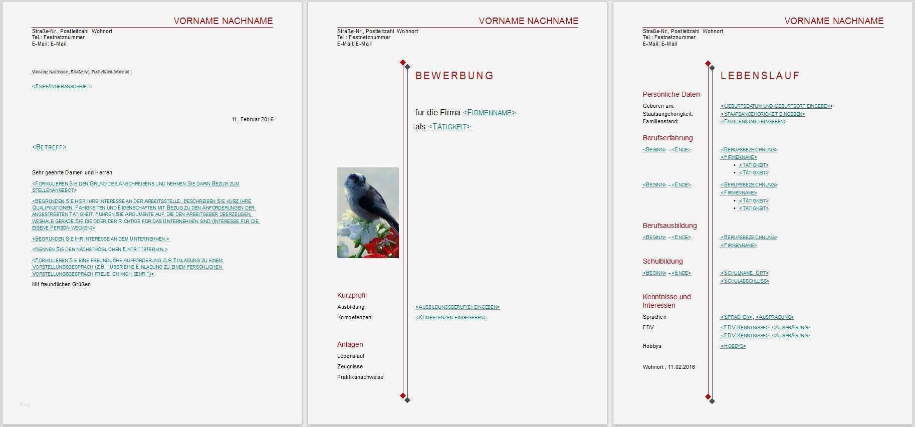 Blau De Kündigen Vorlage Erstaunlich Bewerbungsvorlagen Für Libreoffice