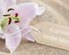 Blumen Gutschein Vorlage Bewundernswert Kosmetik Vanise Miletic Green Peel