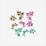 Blumen Sticken Vorlagen Wunderbar Buchstaben Sticken Sticken Kreuzstich Blumen