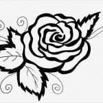 Blumen Vorlagen Zum Ausschneiden Best Of Ausmalen Malvorlagen Gratis Ausdrucken Rose Blumen Motive