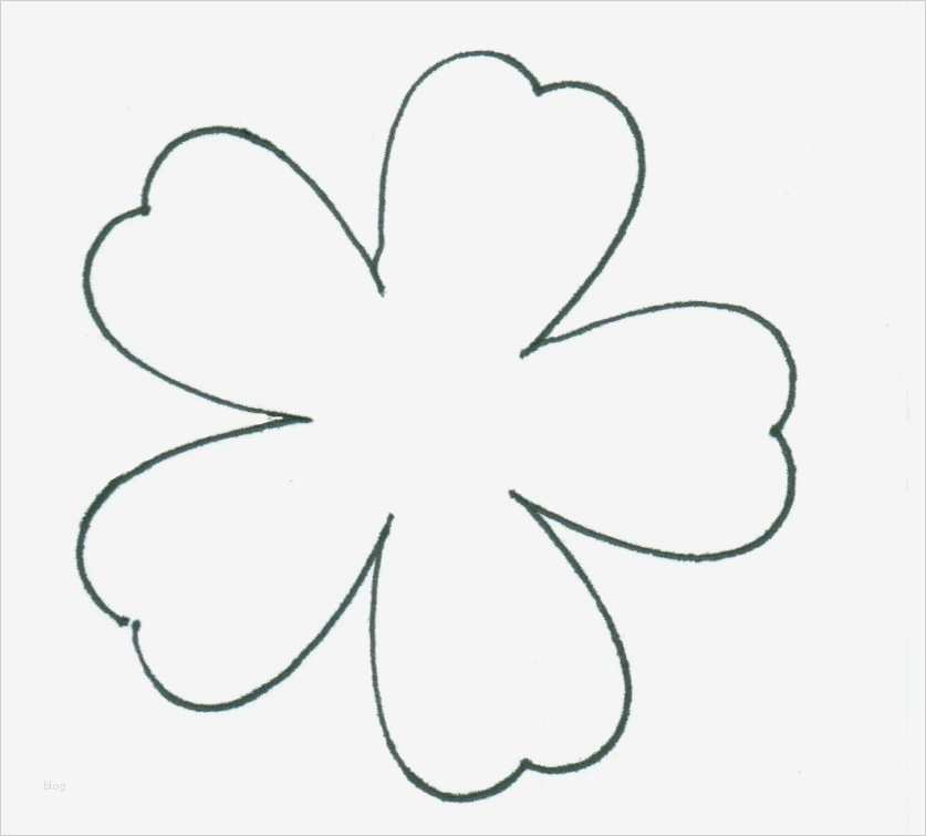 Blumen Vorlagen Zum Ausschneiden Hübsch Blume Schablone Zum Ausschneiden