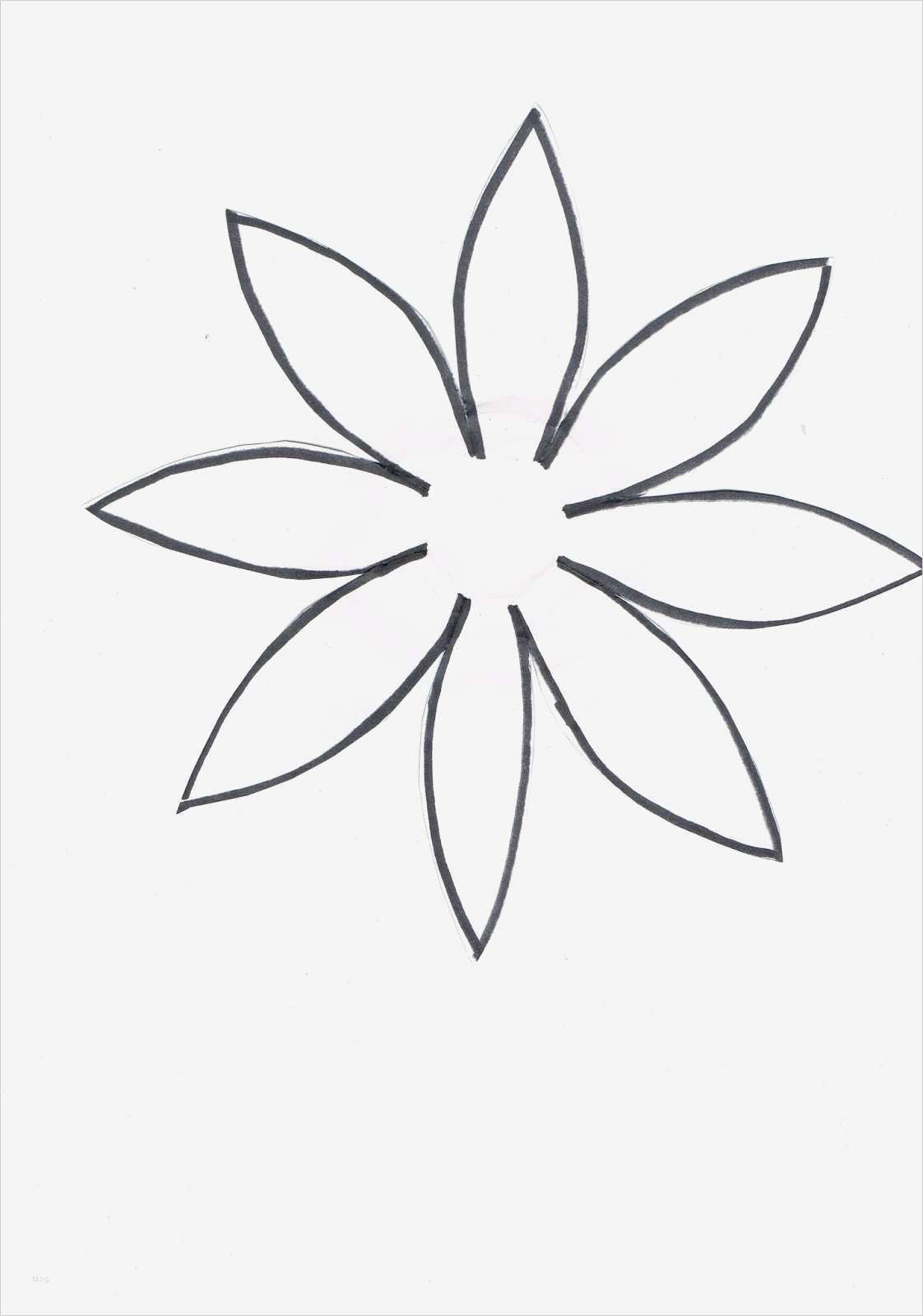 Blumen Vorlagen Zum Ausschneiden Inspiration Blumen Vorlage Zum Ausschneiden